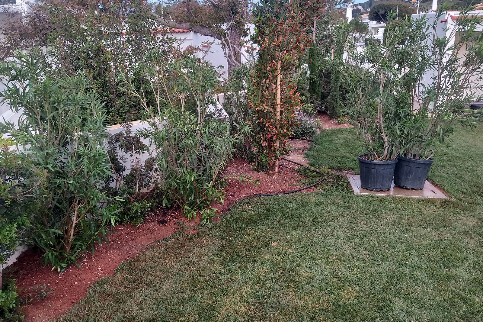 palaia-fokaia-project-5