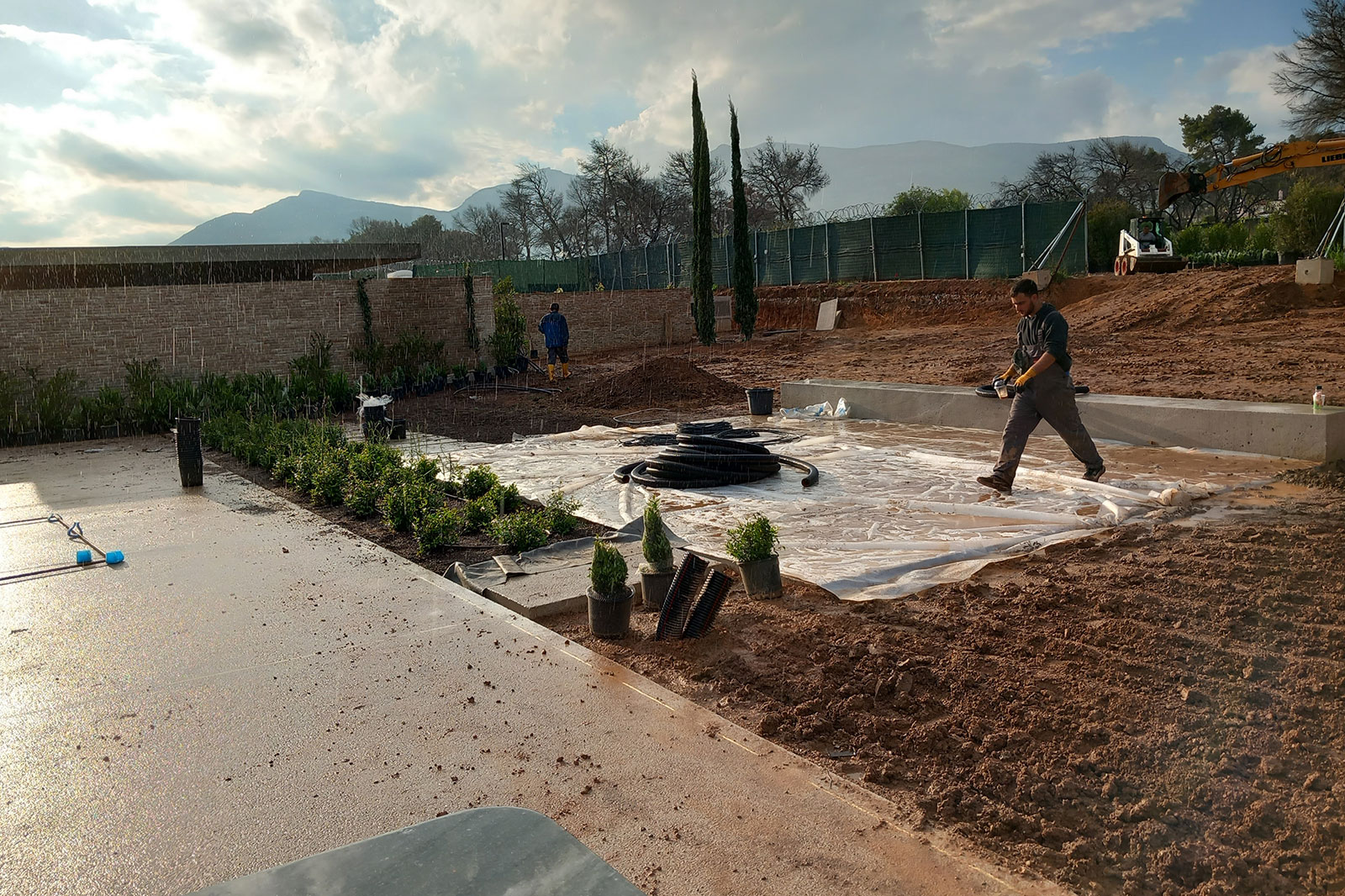 tatoi-project-3